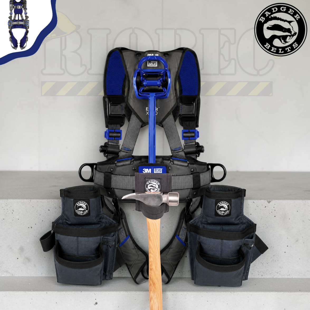 Ensemble Badger / DBI-SALA Deluxe (x300)