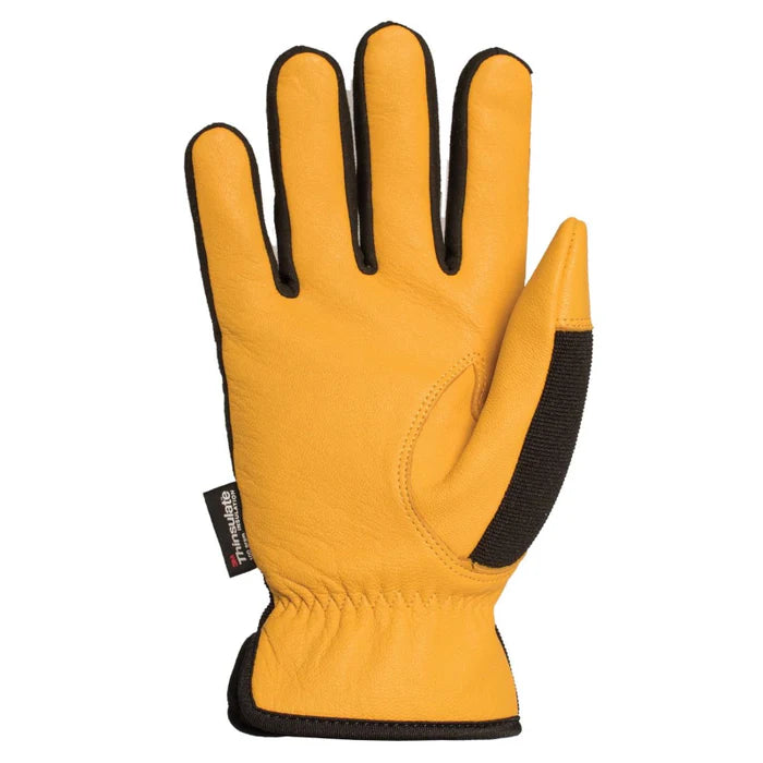 Horizon winter glove