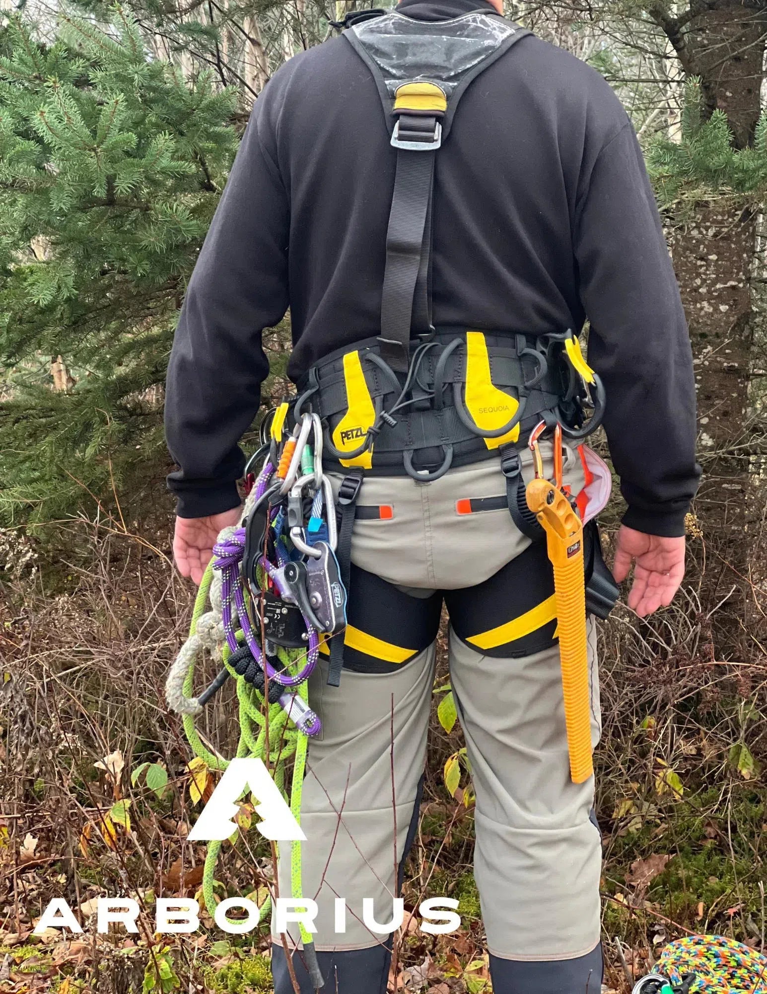 Pantalons Forestier Arborius - MaxiFlex